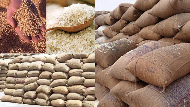 rice and wheat