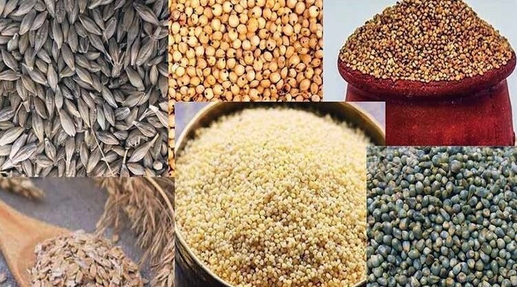 उत्तराखंड में मोटे अनाज से 20 फीसदी तक बढ़ी किसानों की आय, आईआईएस काशीपुर के अध्ययन में खुलासा