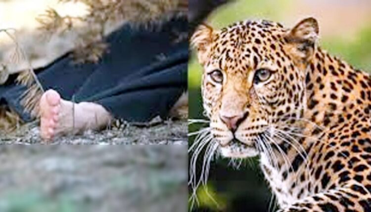 Rudraprayag: Forest department killed man-eating leopard, mourning spread in Makhet village after the death of woman