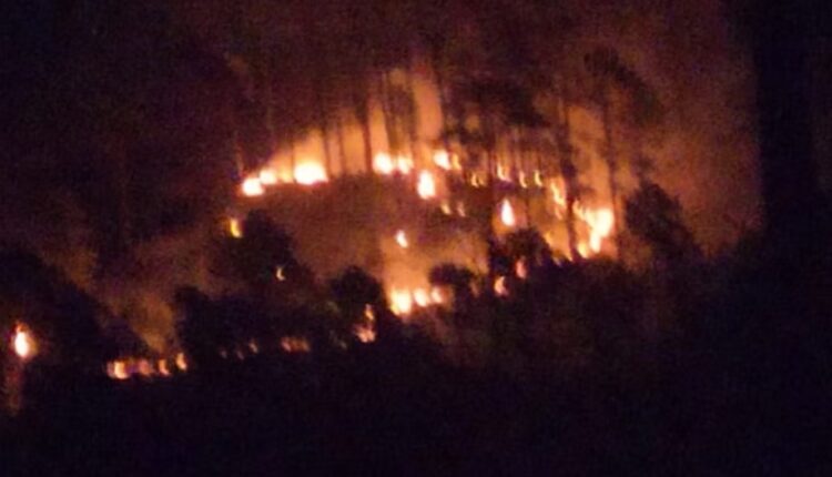 एक्शन मोड में कुमाऊं कमिश्नर दीपक रावत, वीडियो कांफ्रेसिंग कर दिए सख्त निर्देश; जंगलों में आग लगाने वालों की अब खैर नहीं