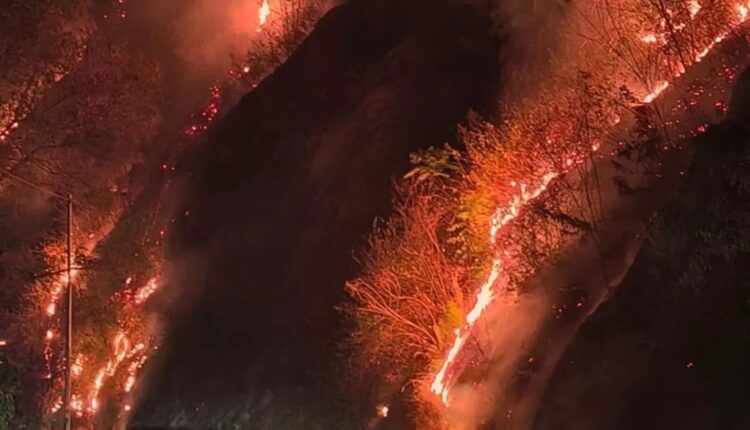 आग की ऊंची लपटें : नैनीताल के जंगलों में आग का तांडव, चारों तरफ धुआं ही धुआं