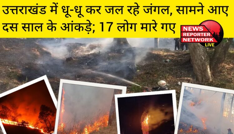 उत्तराखंड में दस साल में 14 हजार से अधिक जंगल में आग की घटना, इसमें 23 हजार हेक्टेअर से अधिक क्षेत्रफल में वन संपदा प्रभावित; 17 लोग मारे गए