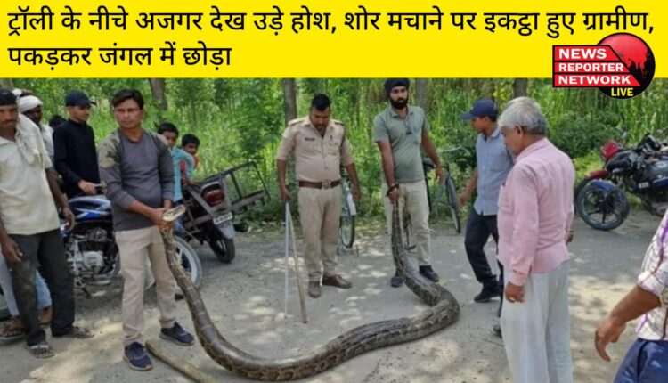 लक्सर इस्माइलपुर गांव में एक ग्रामीण के घेर में ट्रॉली के नीचे निकला अजगर उड़े होश, मचाने शोर ग्रामीण हुए इकट्ठा