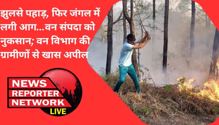 मल्लाकोट धनियाकोट के जंगल में लगी आग, वन संपदा को भी नुकसान; वन विभाग की ग्रामीणों से खास अपील