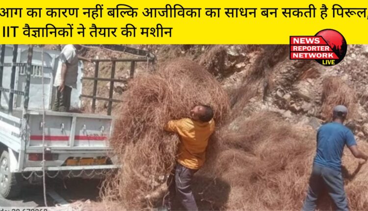 जंगलों में आग का बड़ा कारण बनने वाली पिरूल (चीड़ की पत्तियां) आईआईटी वैज्ञानिकों की ओर से तैयार की गई मशीन के जरिये आजीविका का साधन बन सकती हैं