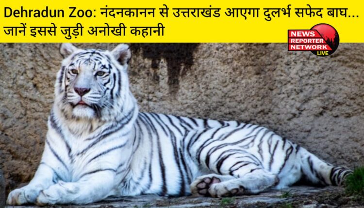 उड़ीसा के नंदनकानन चिड़ियाघर से दुर्लभ नस्ल के सफेद बाघ को अब उत्तराखंड लाने की तैयारी
