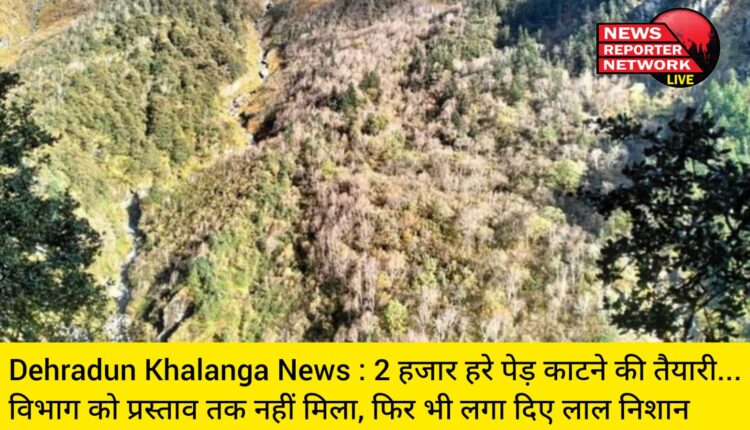 Dehradun Khalanga News : 2 हजार हरे पेड़ काटने की तैयारी...विभाग को प्रस्ताव तक नहीं मिला, फिर भी लगा दिए लाल निशान
