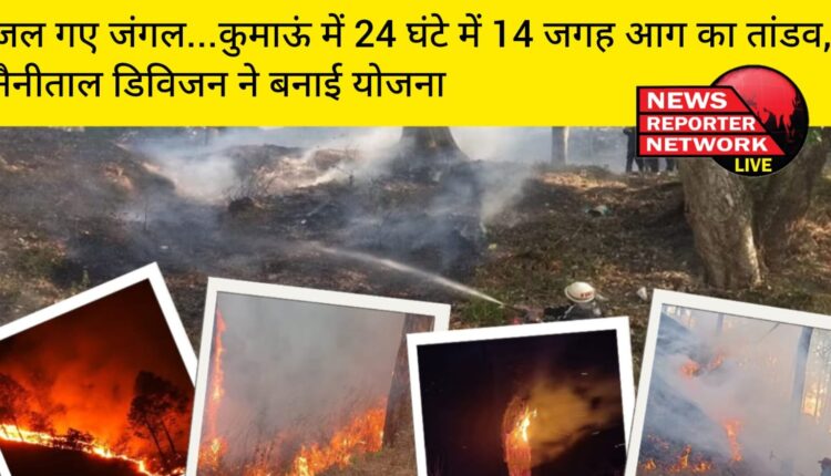 बीते 24 घंटे में कुमाऊं मंडल में वनाग्नि की 14 घटनाओं में 21.47 हेक्टेयर जंगल जलकर राख