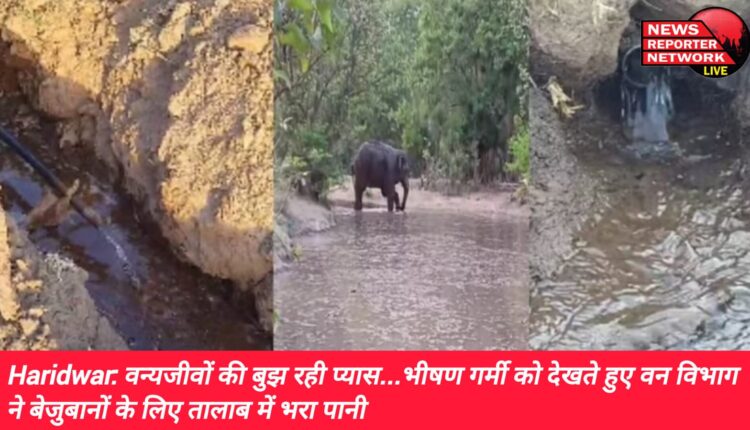 भीषण गर्मी को देखते हुए वन विभाग द्वारा निरंतर वन्यजीवों के लिए जंगलों में जगह-जगह तालाब में पानी भरा जा रहा है, वन्यजीवों की बुझ रही प्यास