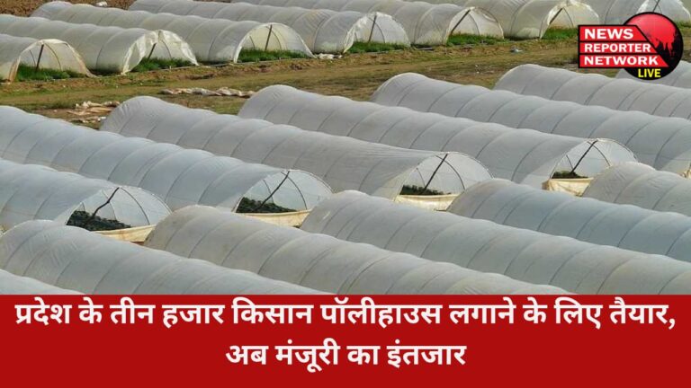 बेमौसमी सब्जी व पुष्प उत्पादन को बढ़ावा देने के लिए 3 हजार से अधिक किसान ने पॉलीहाउस लगाने के लिए तैयार