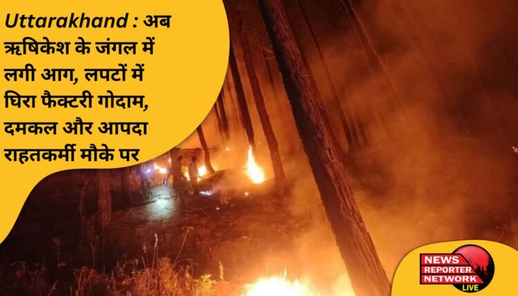 ऋषिकेश के जंगल में लगी आग, फैक्ट्री के गोदाम तक फैल गई दमकल की गाड़ियां व एसडीआरएफ की टीम भी मौके पर मौजूद