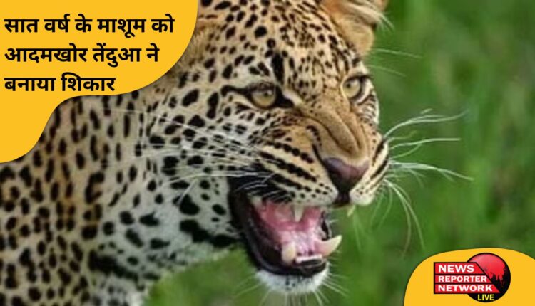 सात वर्ष के माशूम को आदमखोर तेंदुआ ने बनाया शिकार