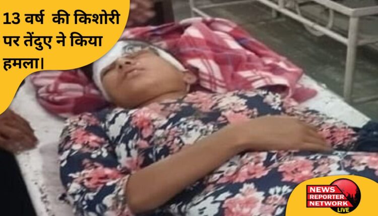 13 वर्ष की किशोरी पर तेंदुए ने किया हमला।