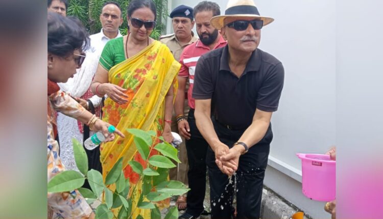 On the occasion of Harela festival, Chief Secretary Radha Raturi planted Amaltas tree.
