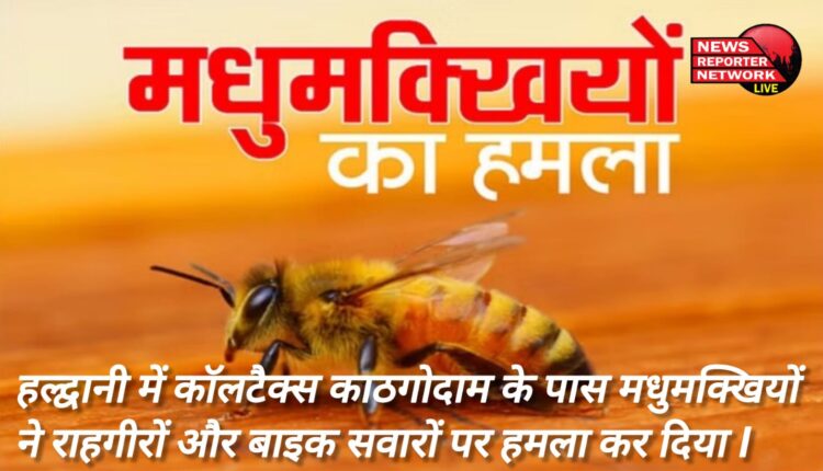 हल्द्वानी में कॉलटैक्स काठगोदाम के पास मधुमक्खियों ने राहगीरों और बाइक सवारों पर हमला कर दिया I