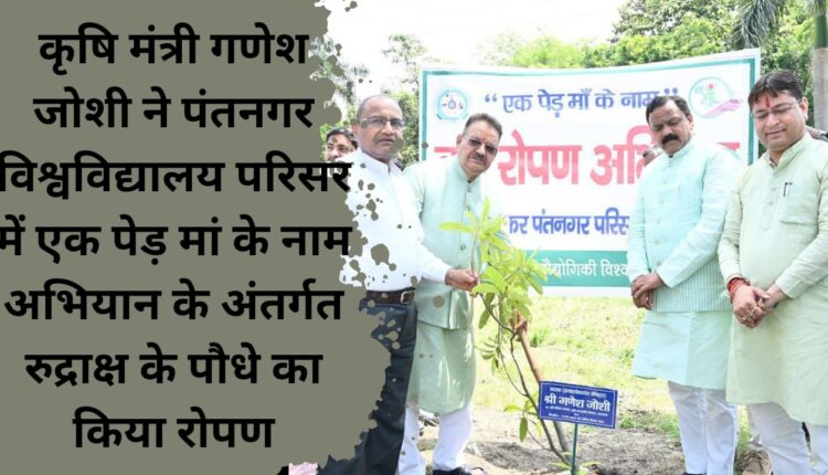 Agriculture Minister Ganesh Joshi planted Rudraksh sapling under the 'One Tree in the Name of Mother' campaign in Pantnagar University campus.
