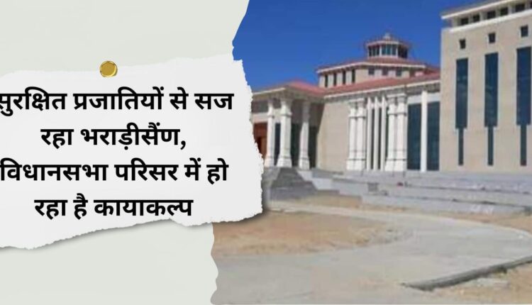 Bharadisain is being decorated with protected species, rejuvenation is taking place in the assembly complex