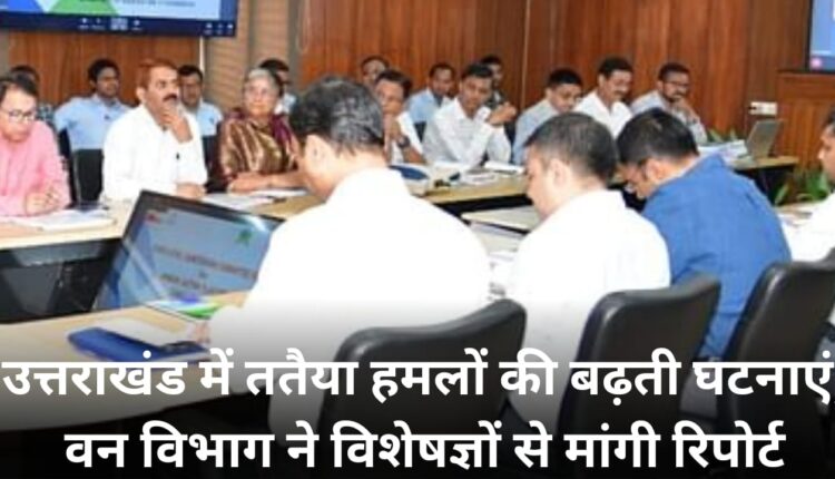 Increasing incidents of wasp attacks in Uttarakhand, Forest Department seeks report from experts