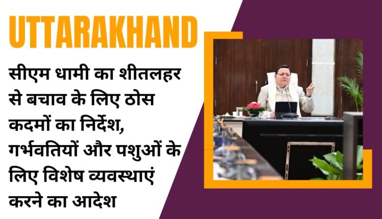 CM Dhami's instructions for concrete steps to protect against cold wave, order to make special arrangements for pregnant women and animals