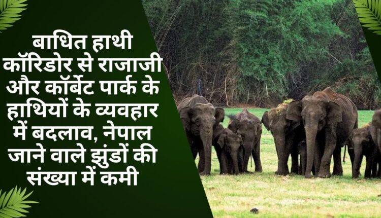 Disrupted elephant corridors alter behavior of elephants in Rajaji and Corbett parks, reducing numbers of herds traveling to Nepal