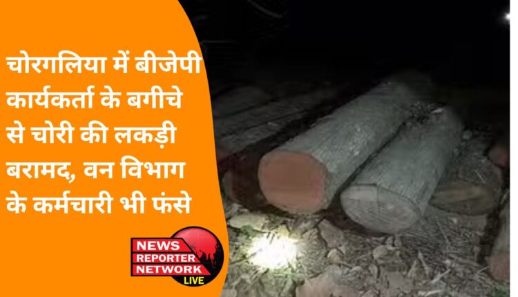 Stolen wood recovered from BJP worker's garden in Chorgaliya, forest department employees also trapped