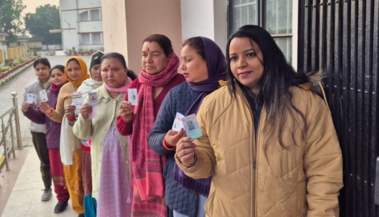 Municipal body elections Voting percentage till 12 noon