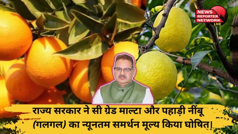 State government declared minimum support price of C grade Malta and hill lemon (Galgal).
