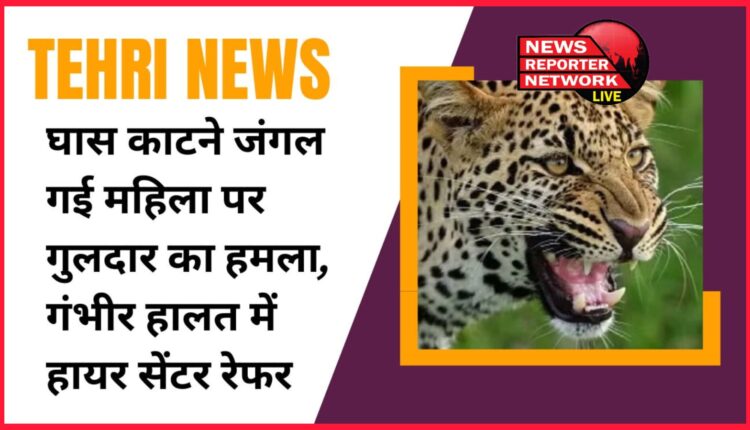 Tehri News A woman who went to the forest to cut grass was attacked by a henchman, referred to a higher center in critical condition.