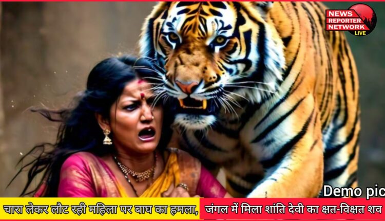 Tiger attacks woman returning with fodder, mutilated body of Shanti Devi found in forest