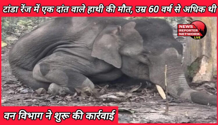 Udham Singh Nagar News One tusk elephant dies in Tanda range, age was more than 60 years; Forest department started action