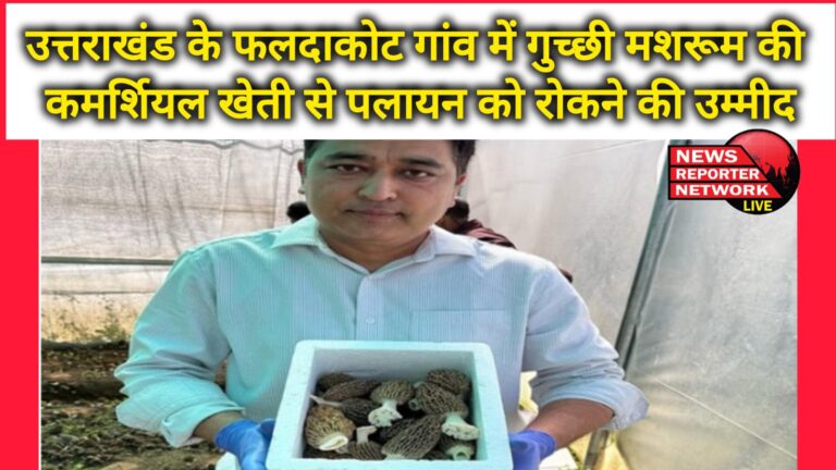 Commercial cultivation of Gucchi mushroom in Faldakot village of Uttarakhand hopes to stop migration