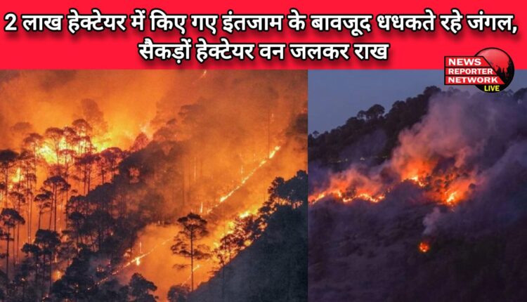 Despite the arrangements made in 2 lakh hectares, the forests kept burning, hundreds of hectares of forest burnt to ashes