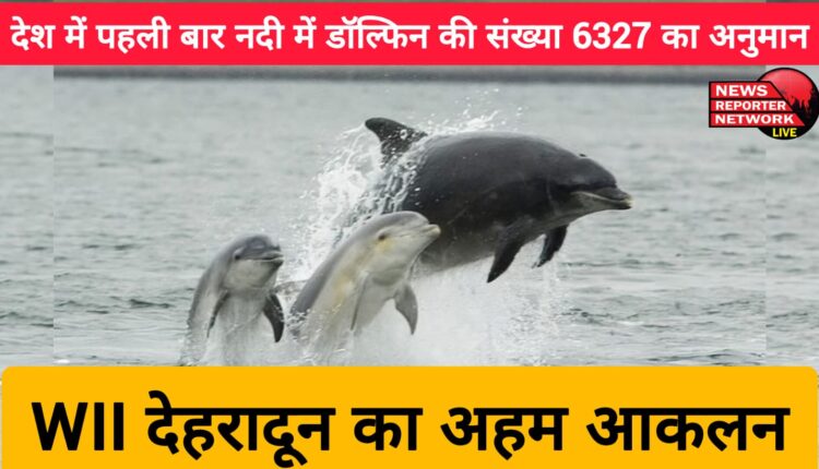 For the first time in the country, the number of dolphins in the river is estimated to be 6327, an important assessment by WII Dehradun