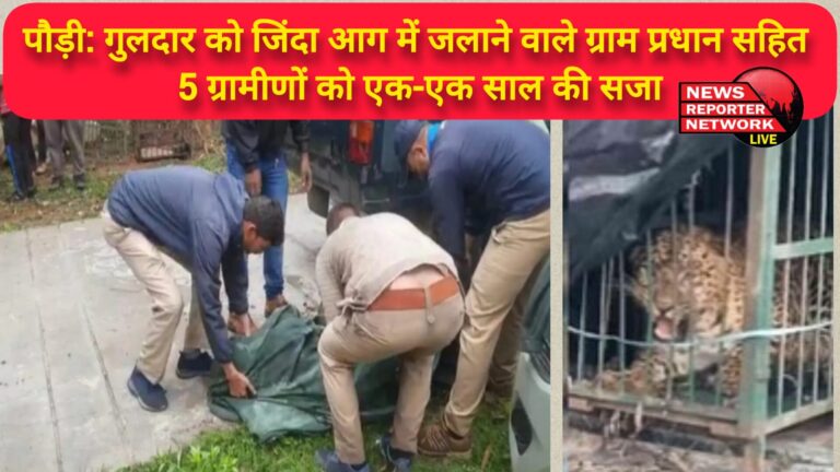 Pauri 5 villagers including the village head who burnt a leopard alive in fire have been sentenced to one year each