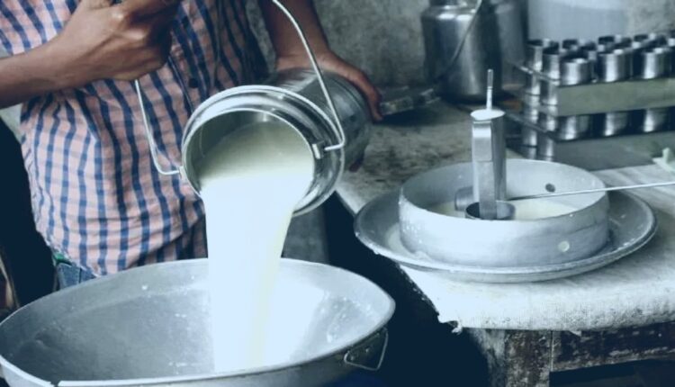 Milk procurement increased by 30 thousand liters in Uttarakhand, self-employment is getting a boost