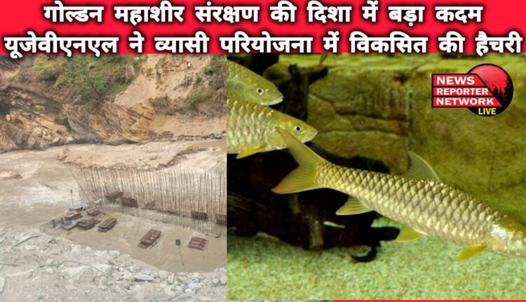 A big step towards Golden Mahseer conservation, UJVNL developed a hatchery in Vyasi project