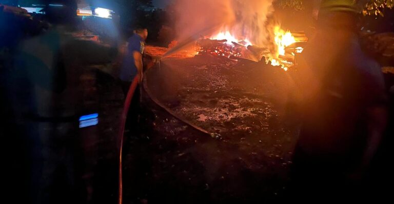 A huge fire broke out in a pile of wood at Chandrabani Wildlife Depot, the team of Fire Station Dehradun brought it under control