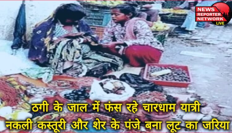 Char Dham pilgrims are getting trapped in the trap of fraud, fake musk and lion's claws are becoming the means of robbery