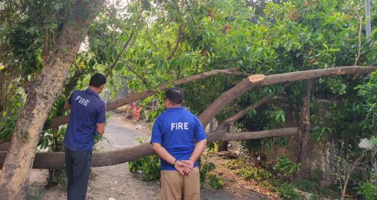 Dehradun Road blocked due to fallen tree near Premnagar Mandi, fire station team cleared the way