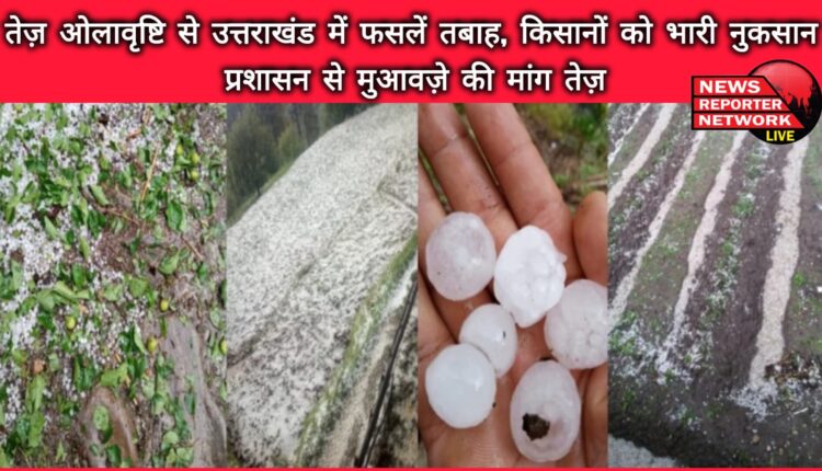 Heavy hailstorm destroys crops in Uttarakhand, farmers suffer huge losses – demand for compensation from administration intensifies