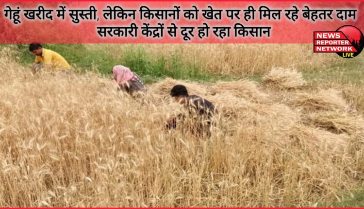 Slowdown in wheat procurement, but farmers are getting better prices on the farm itself – farmers are staying away from government centres