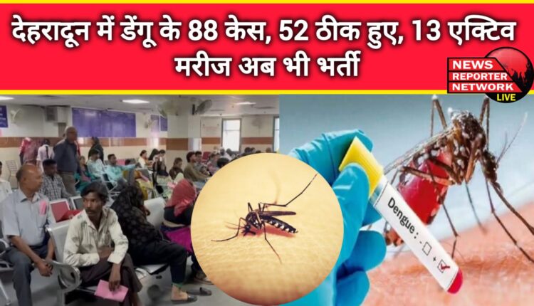 88 cases of dengue in Dehradun, 52 cured, 13 active patients still admitted