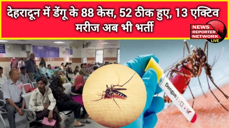 88 cases of dengue in Dehradun, 52 cured, 13 active patients still admitted
