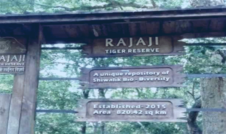 The method of patrolling will change in Rajaji Tiger Reserve, monitoring will be done according to the movement of wildlife