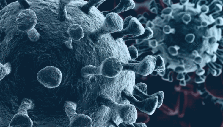 Uttarakhand Corona Update New case of corona in the state, total number of patients reaches 56