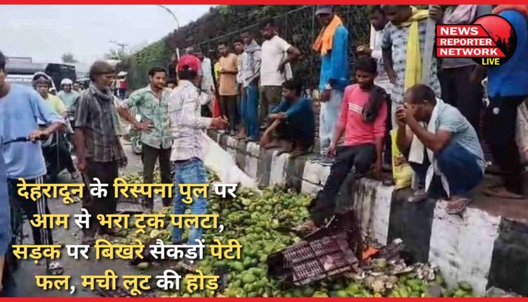 A truck loaded with mangoes overturned on Rispana bridge in Dehradun, hundreds of boxes of fruits scattered on the road, a race to loot ensued