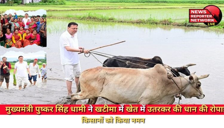 Chief Minister Pushkar Singh Dhami planted paddy in the field in Khatima and saluted the farmers