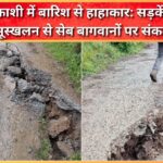Havoc due to rain in Uttarkashi Roads collapsed, landslides cause trouble for apple orchardists