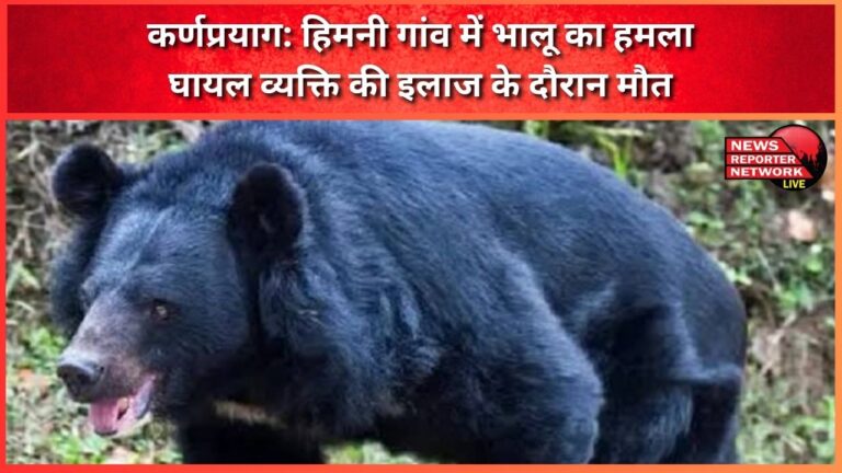 Karnaprayag Bear attack in Himni village, injured person dies during treatment