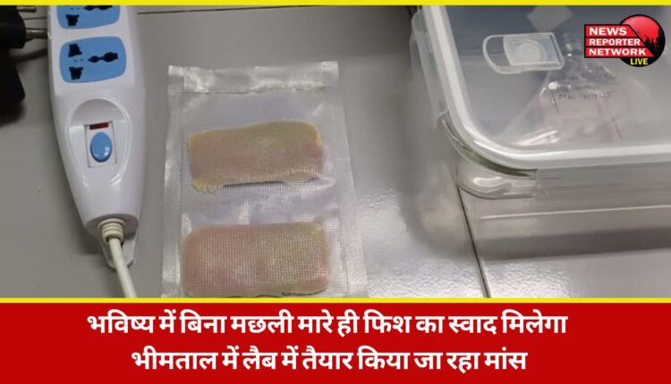 In the future, you will get the taste of fish without killing it; meat is being prepared in a lab in Bhimtal.